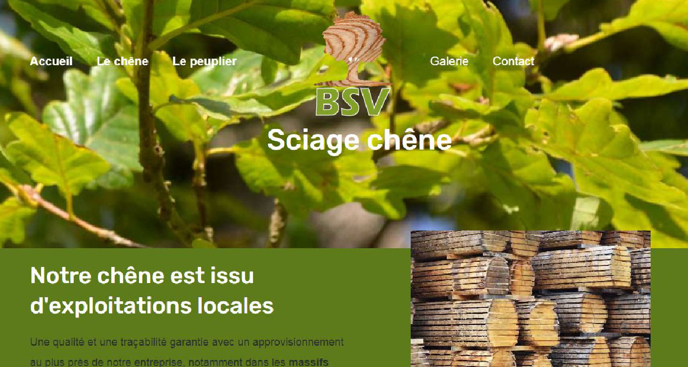 BSV Spécialité sciage chêne et grumes toutes essences